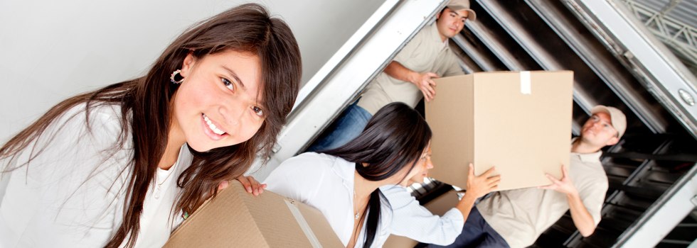 Professional Removalists Bolton Point